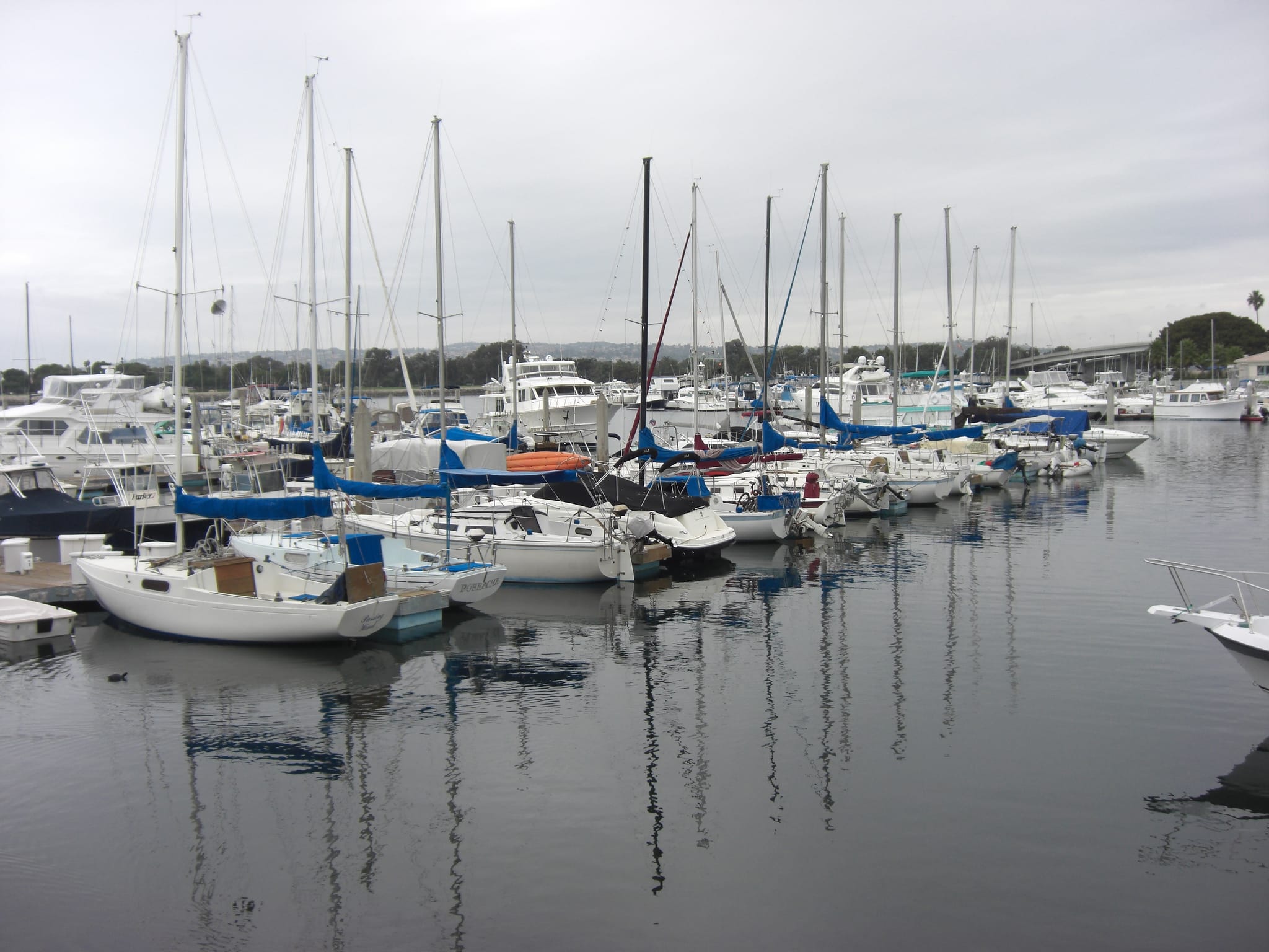 Harbor at Mission Bay
