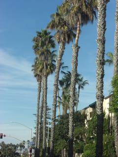 CIMG2338