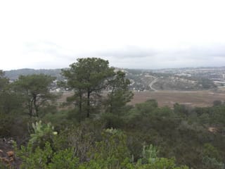 Torrey Pines State Park 2