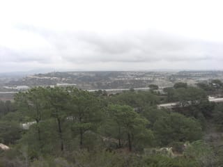 Torrey Pines State Park 4