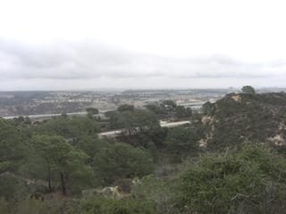 Torrey Pines State Park 5
