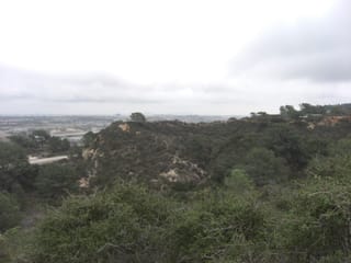 Torrey Pines State Park 6