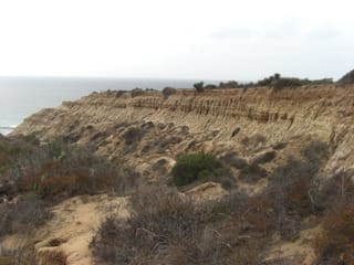 Torrey Pines State Park 12