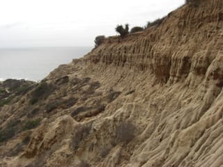 Torrey Pines State Park 11