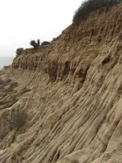 Torrey Pines State Park 16