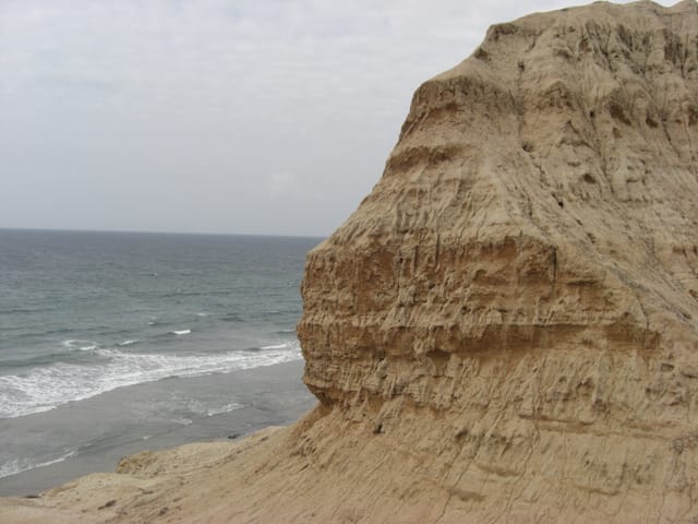 Torrey Pines State Park