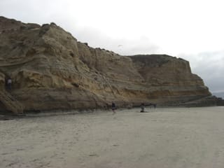 CIMG2426