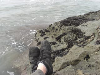 My Travelling Feet in San Diego, CA with Barnicles!