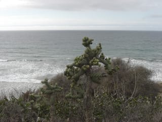 CIMG2447