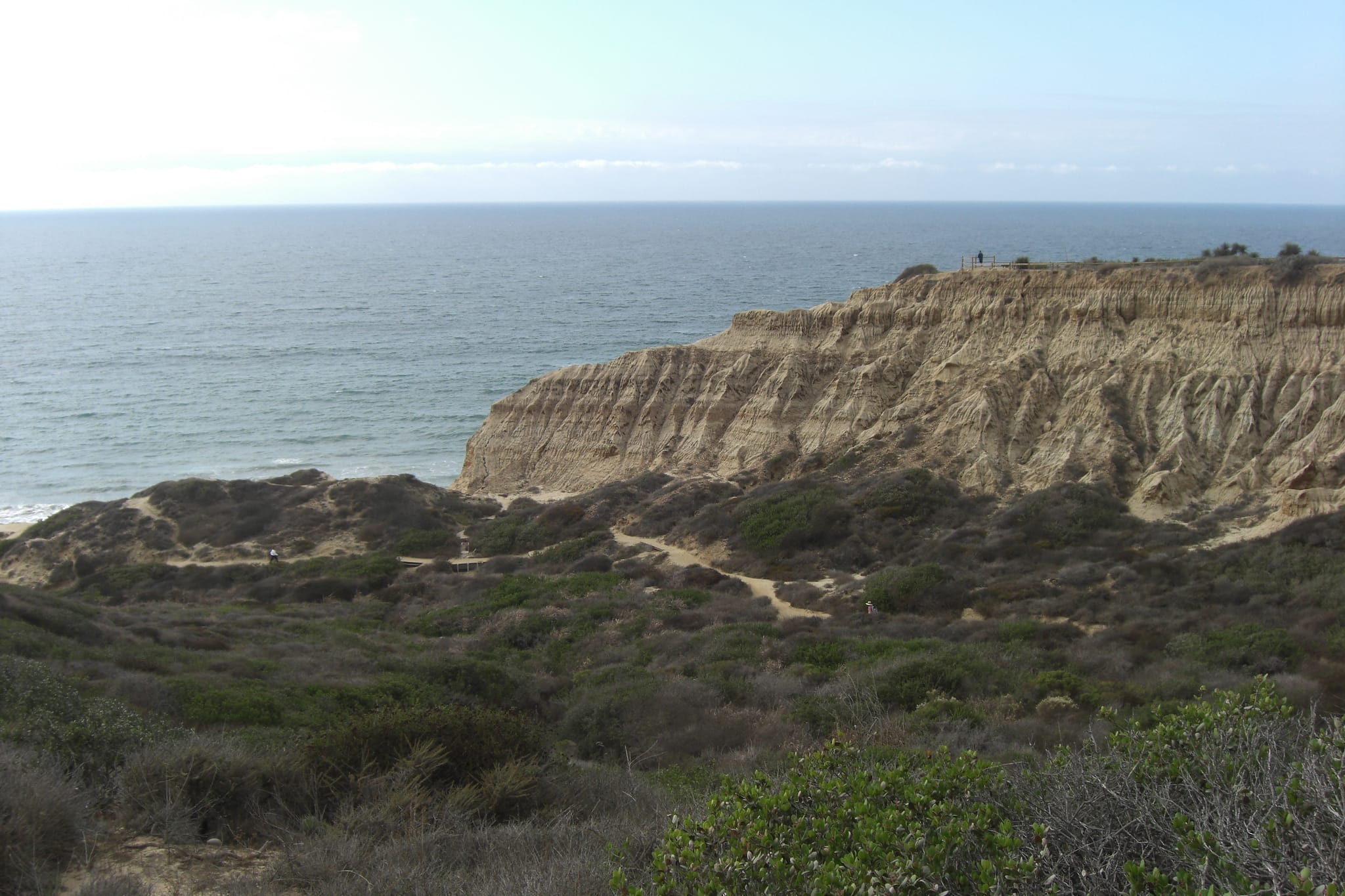 Torrey Pines Park