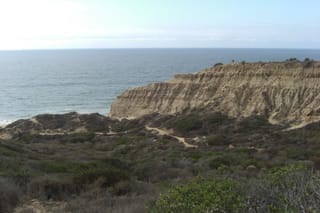 Torrey Pines Park