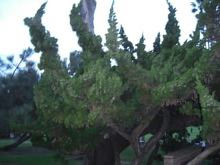 CIMG2349