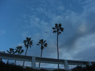 CIMG2354