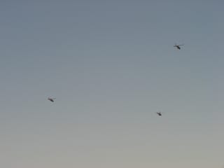 Three military helicopters passing over in Yuma, AZ