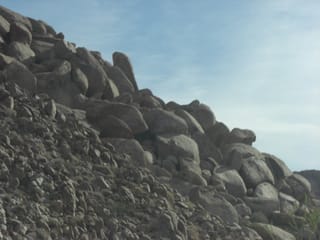 CIMG2246