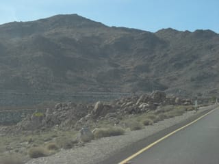 CIMG2254