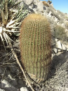 CIMG2273