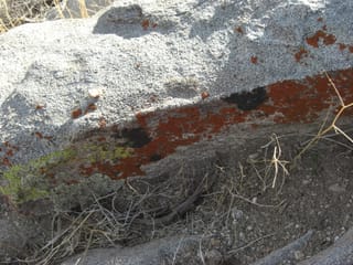 CIMG2285