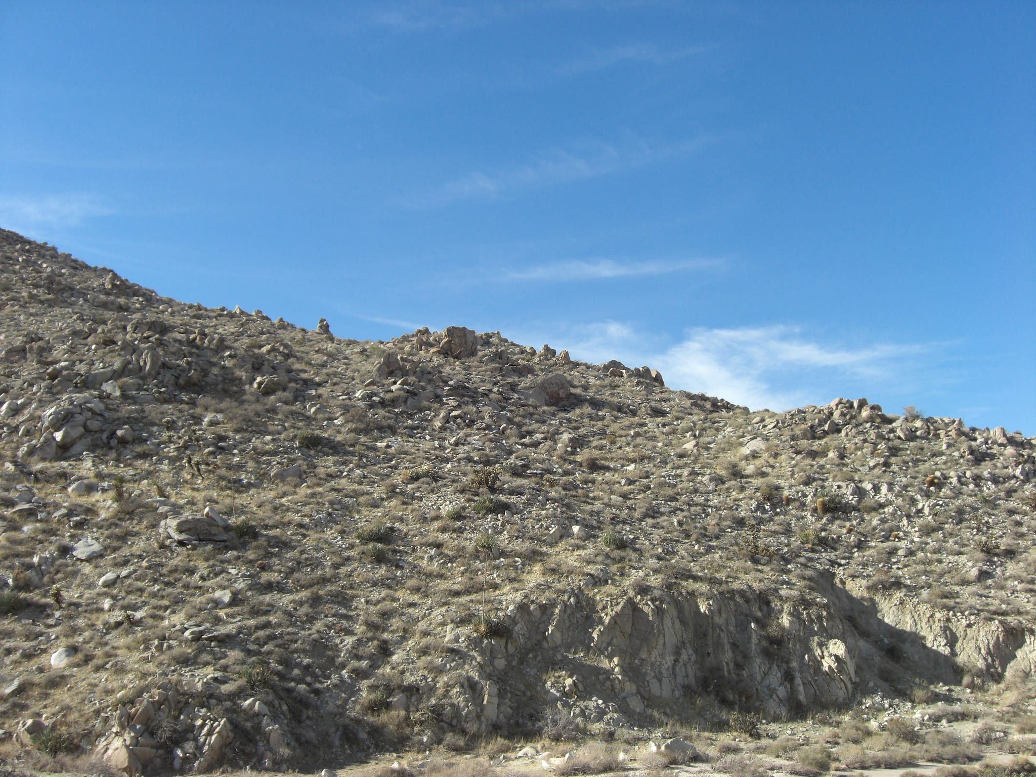 CIMG2295