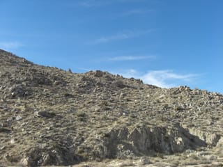 CIMG2295