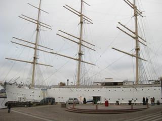 The Viking