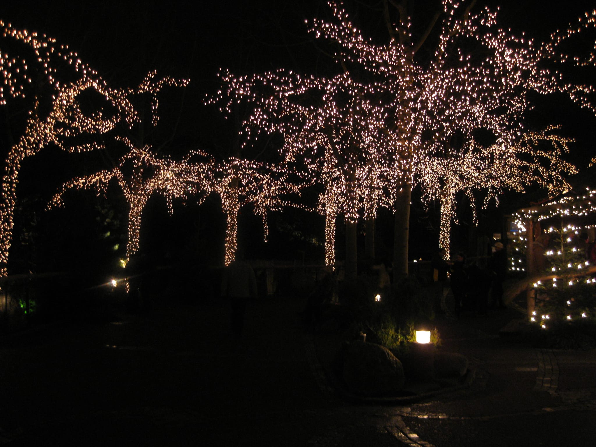 Lights in Liseberg - Göteborg, Sweden