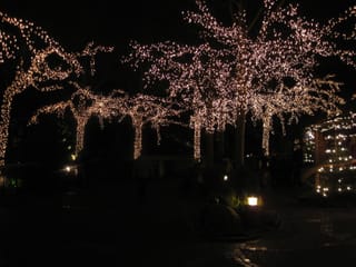 Lights in Liseberg - Göteborg, Sweden