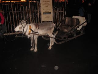 Reindeer pulling a sleigh.