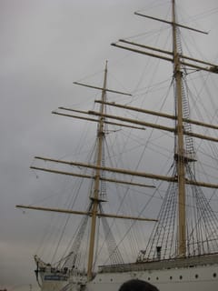 The Viking