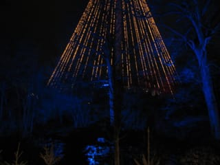 IMG_2814