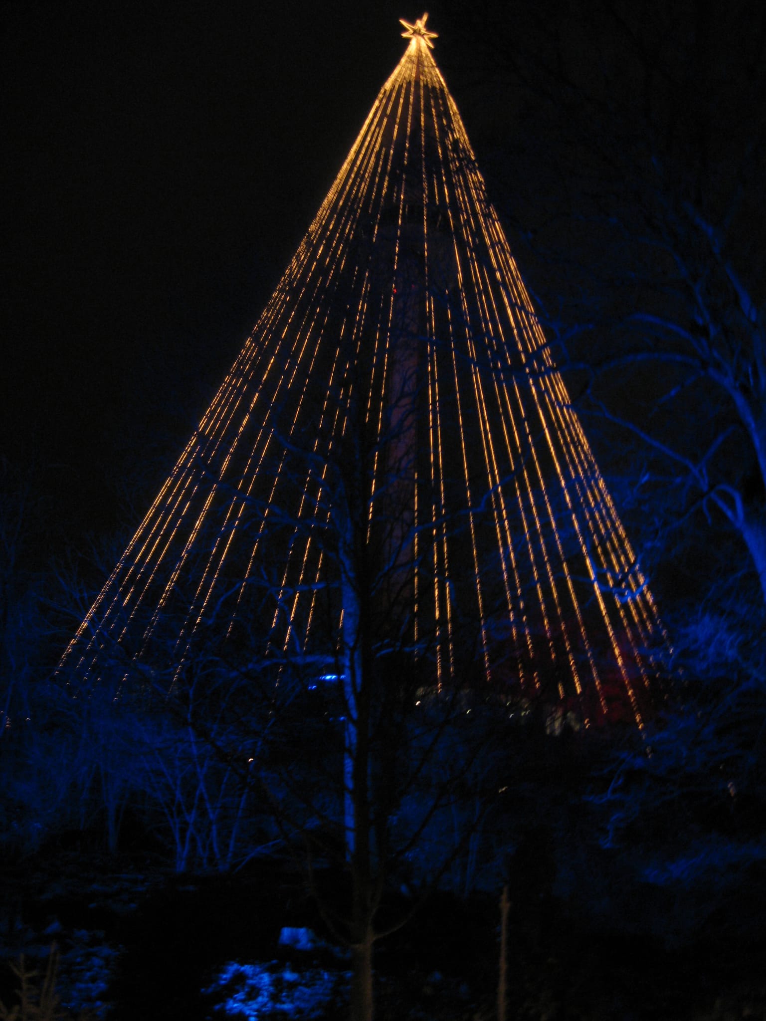 Christmas tree - Liseborg