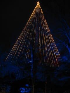 Christmas tree - Liseborg