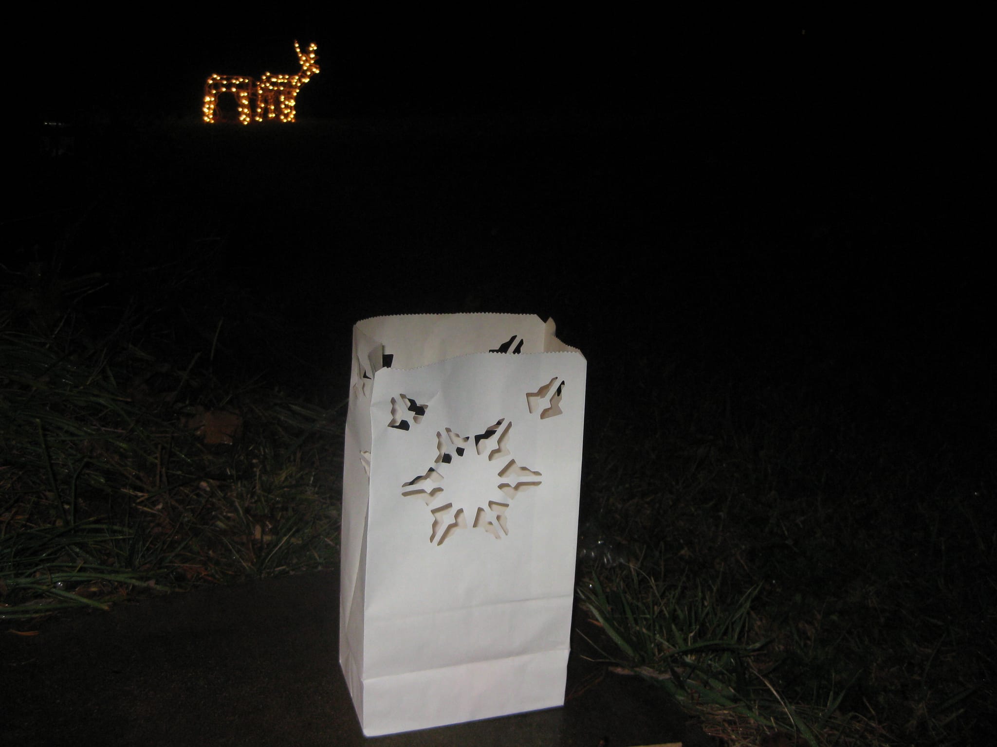Lumineer and Deer