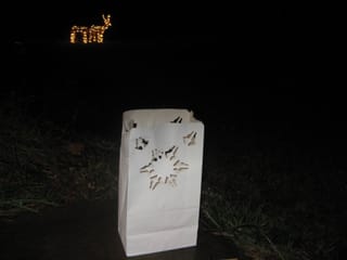 Lumineer and Deer
