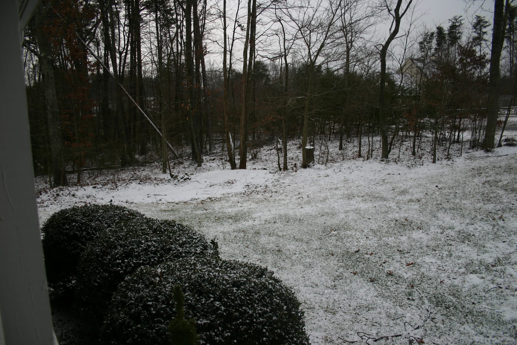 First snow