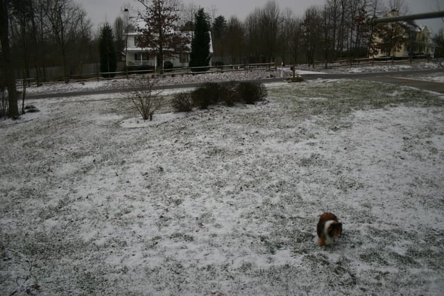 First Snow 2009