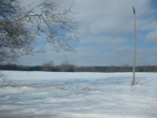 Snowy field