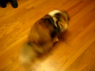 Roxy Spinning and rolling