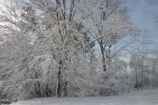 IMG_9801