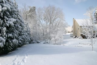 IMG_9817