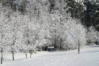 IMG_9830