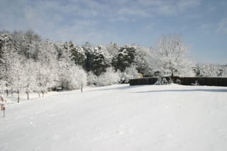 IMG_9812