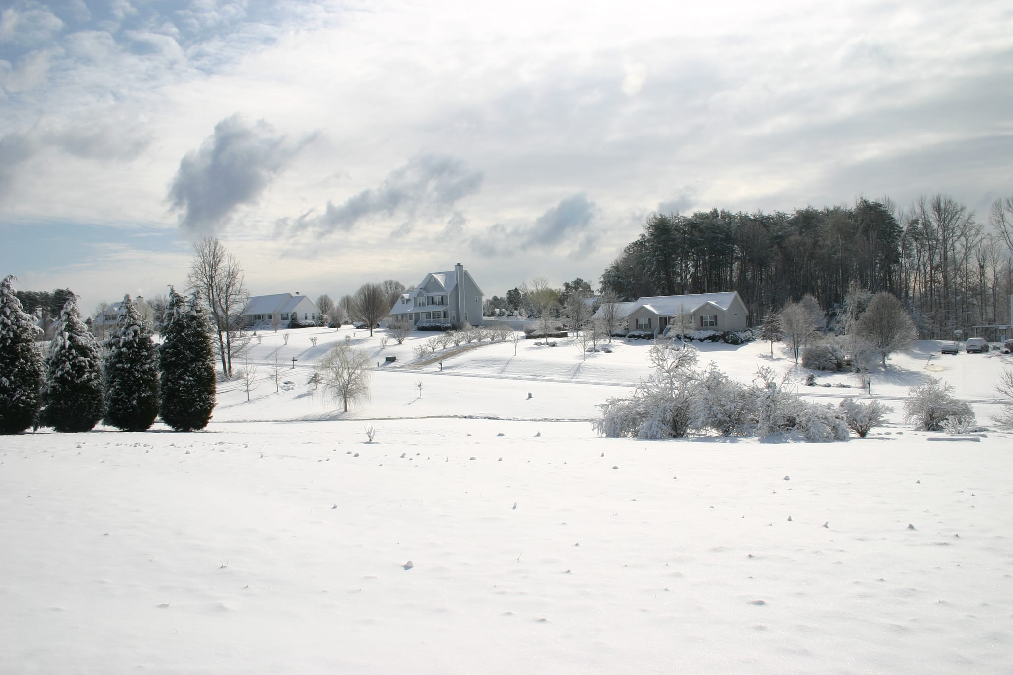 Snow day in the neighborhood
