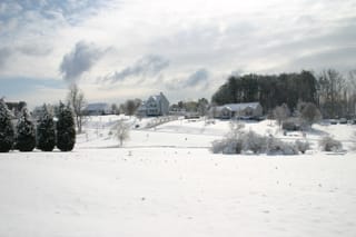 Snow day in the neighborhood