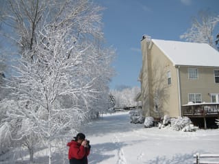 Snow day at home
