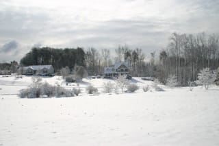 IMG_9807