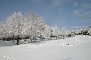 IMG_9849