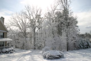 IMG_9850