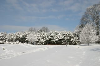 IMG_9848