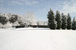 IMG_9811